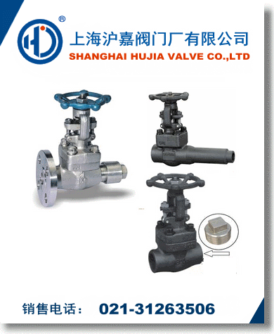 �ſՌ����y