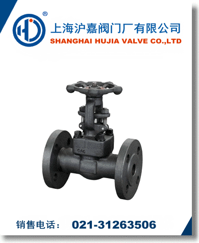 �߉����l�y